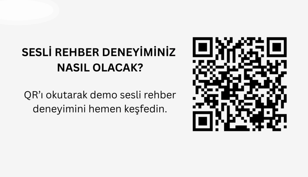 sesli rehber sistemi